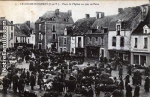 marché hebdomadaire de Grand Fougeray un-jour-de-Foire